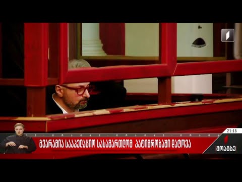 გვარამია სააპელაციო სასამართლომ პატიმრობაში დატოვა